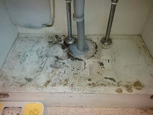 凍結が原因と考えられますが、洗面化粧台の中が水で腐っていました